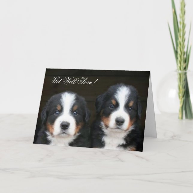 Get Well Soon Bernese mountain dog pups card (Front)