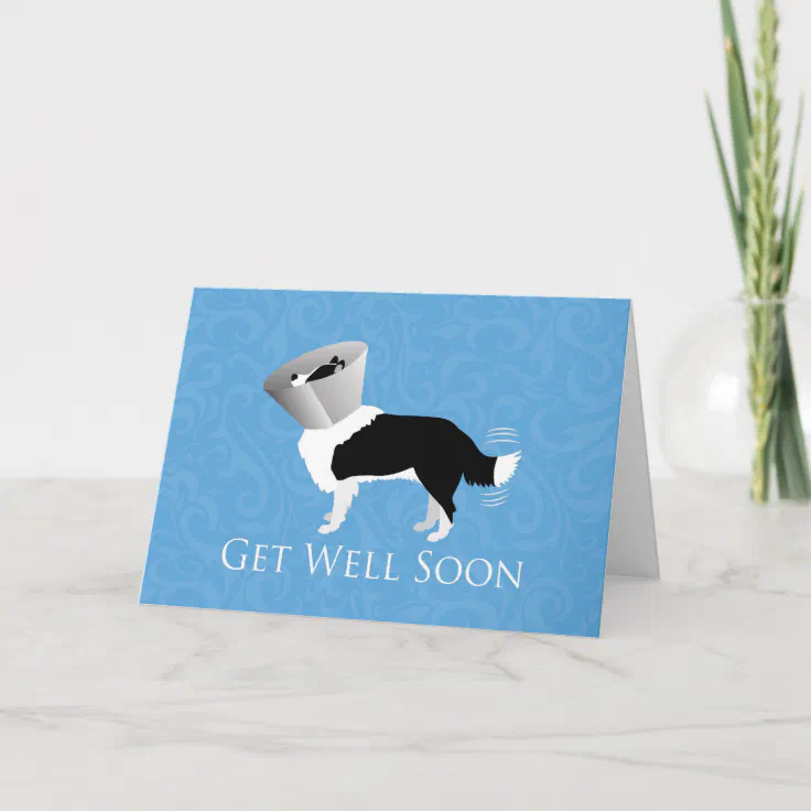 Get Well Soon - Border Collie Male Card | Zazzle