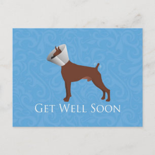 Get Well Soon - Boxer Male Postcard