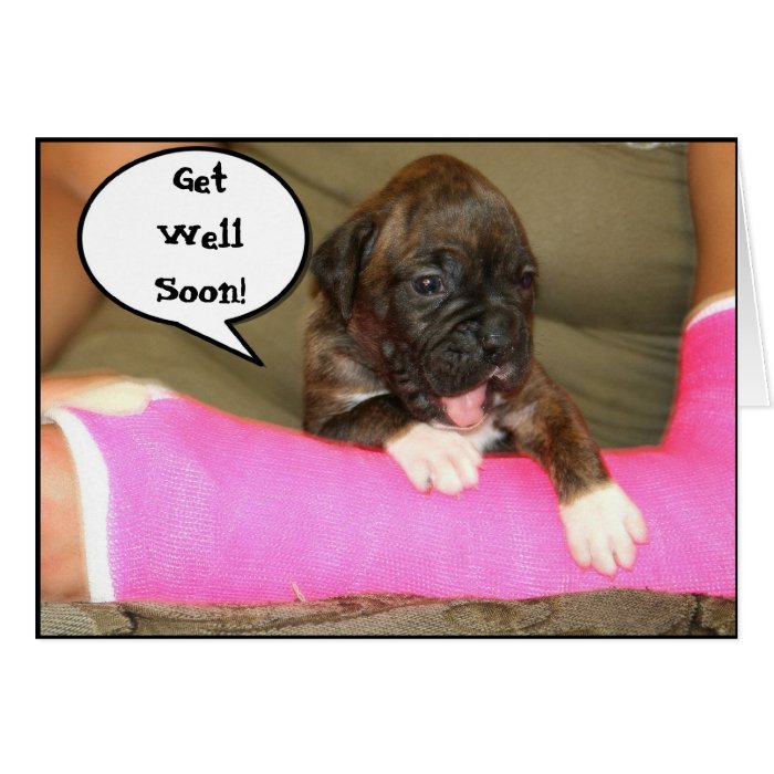 Get well soon boxer puppy greeting card