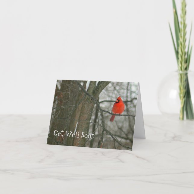 "GET WELL SOON"/BRIGHT RED CARDINAL ON TREE BRANCH CARD (Front)
