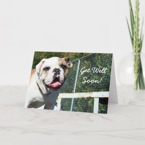 Get well soon bulldog greeting card