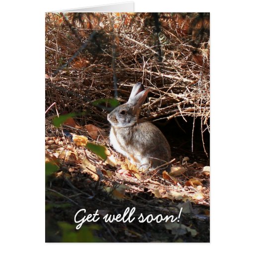 Get Well Soon Bunny Rabbit Greeting Card | Zazzle