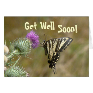 Butterfly Get Well Soon Cards | Zazzle