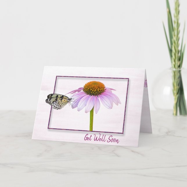 Get Well Soon Butterfly on Cone Flower Card (Front)