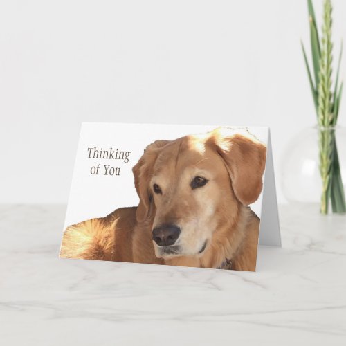 Get Well Soon Card