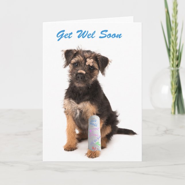 Get well soon card Border Terrier dog (Front)