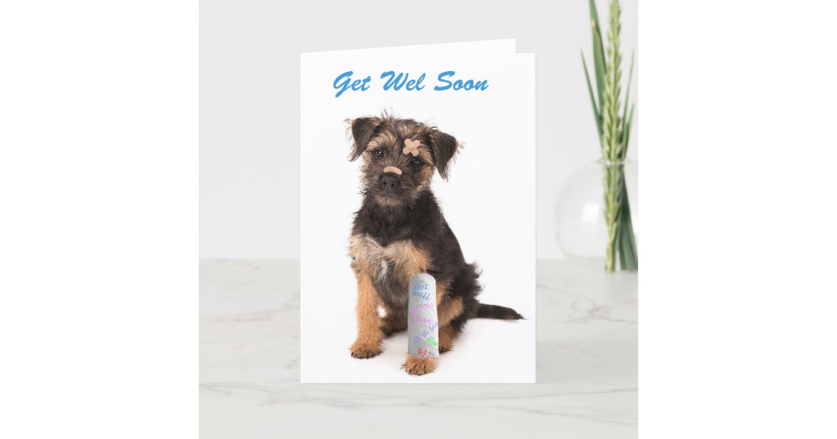 Get Well Soon Card Border Terrier Dog Zazzle Get Well Soon Card Border Terrier Dog