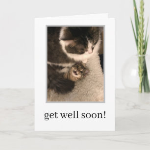 Get Well Soon Card - Cat Nursing Kitten Better