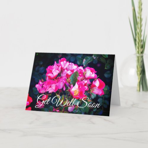 Get Well Soon Carefree Spirit Rose 1 Card