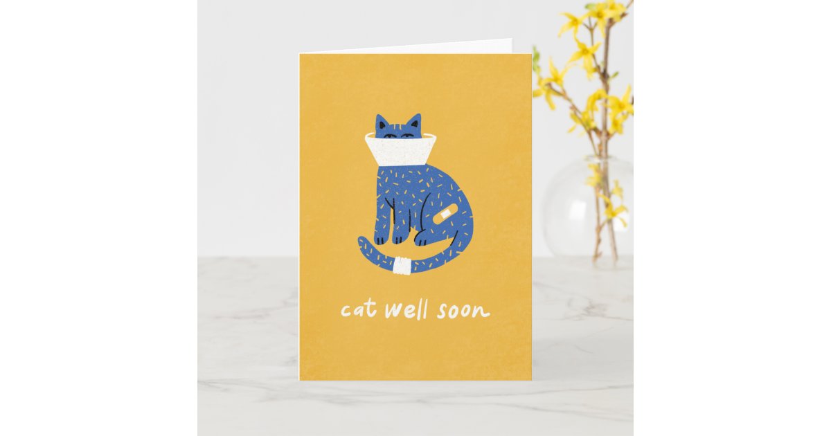 Get Well Soon Cat Card Zazzle