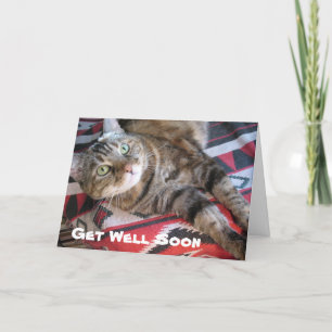 Get Well Soon Cat Card