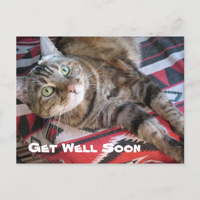 Get Well Soon Cat Postcard (Front)