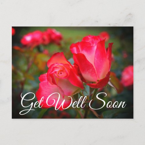 Get Well Soon Cherry Parfait Rose 4 Postcard