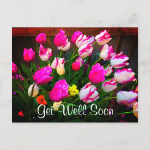 Get Well Soon Christmas Dream and Affaire #1 Postcard