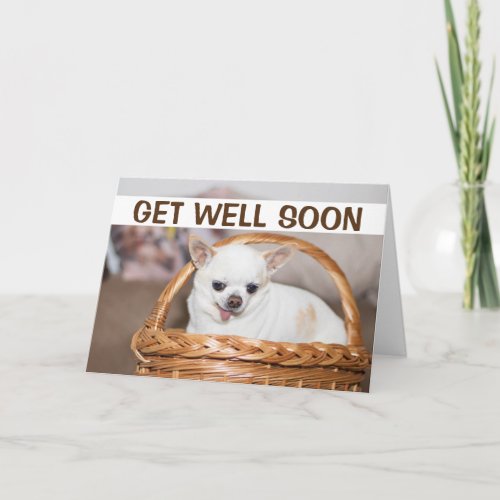 Get well soon cute dog chihuahua in a basket card