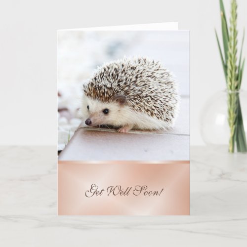 Get Well Soon  Cute Hedgehog Card