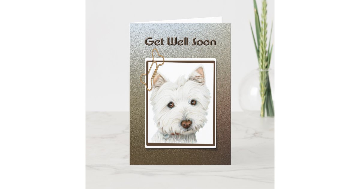 Get well soon, cute westie dog greeting card | Zazzle.com