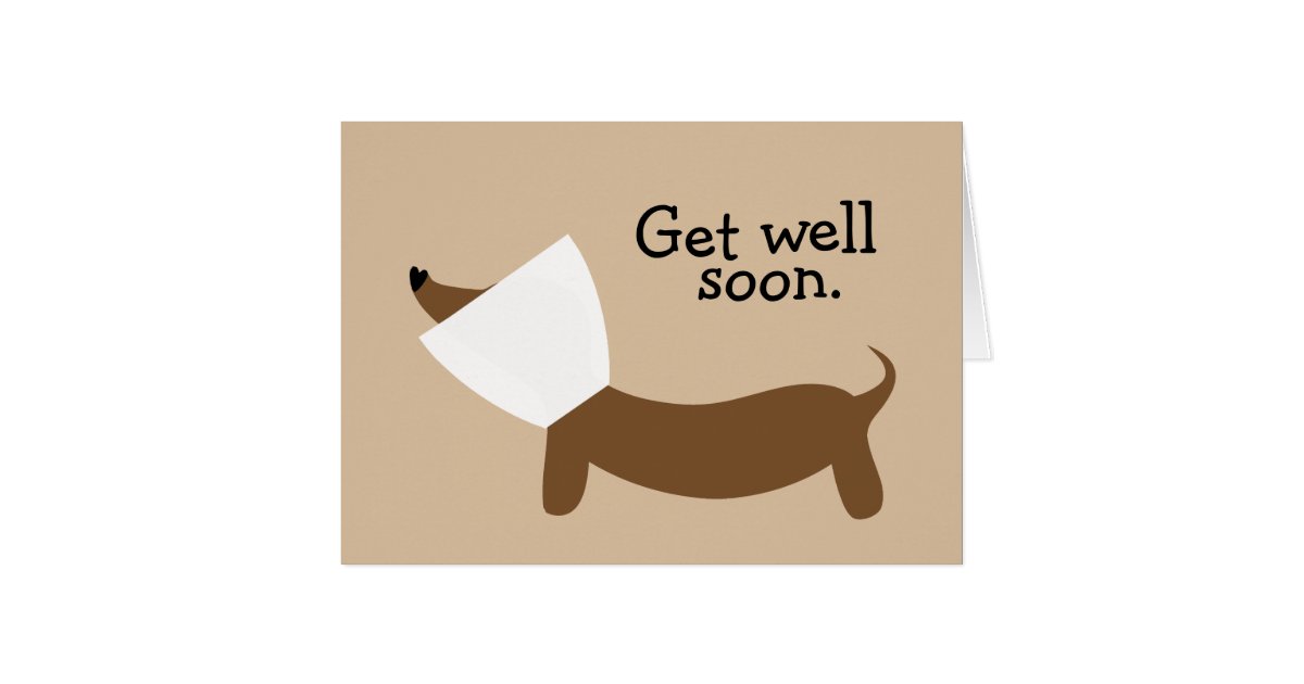 Get Well Soon Dachshund Card | Zazzle.com