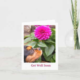 Get Well Soon Dahlia and Cavalier King Charles Card