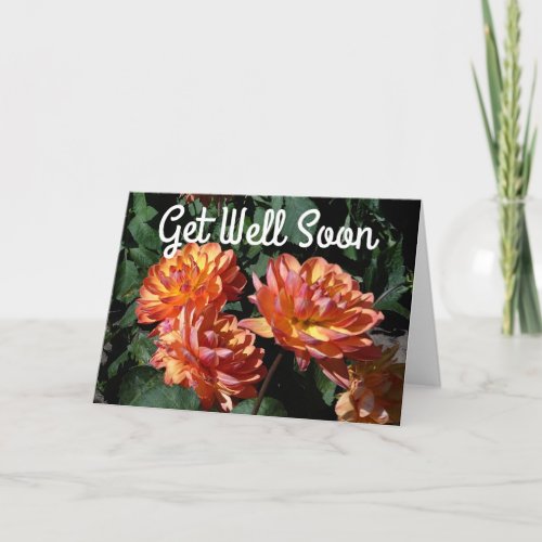 Get Well Soon Dahlia Pam Howden 1 Card