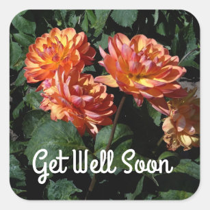 Get Well Soon Flowers Sticker - Get Well Soon Flowers Hearts - Discover &  Share GIFs