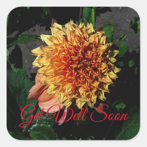 Get Well Soon Dahlia Sandia Brocade 1 Square Sticker