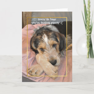 Get well soon dog card