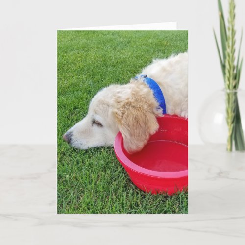 get well soon dog with red water bowl card