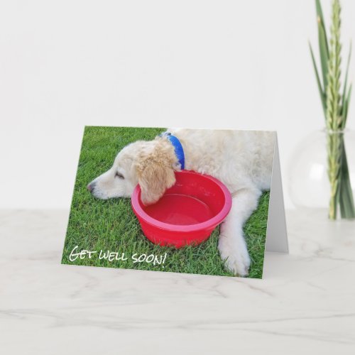 get well soon_ dog with red water bowl card