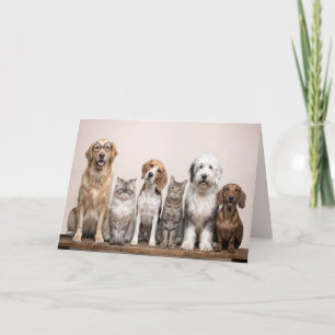 Get Well Soon Dogs and Cats Card