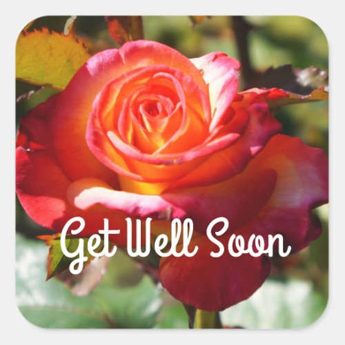 Get Well Soon Dream Come True Rose 2 Stickers