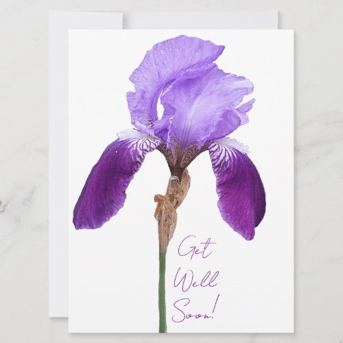 Get well soon elegant purple iris floral boho    holiday card