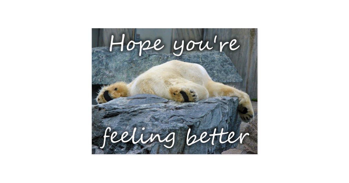 get well soon bear near me