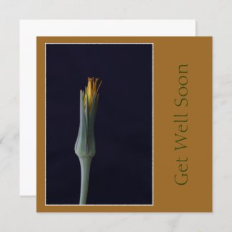 Get Well Soon Floral Golden Brown Tones