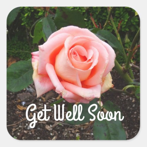 Get Well Soon Folklore Rose 1 Stickers