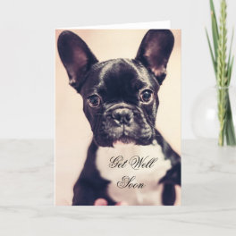 Get Well Soon French Bulldog dog greeting card