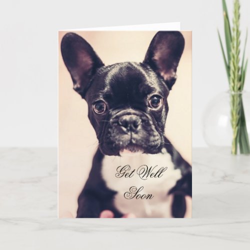 Get Well Soon French Bulldog dog greeting card