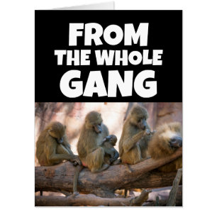 GET WELL SOON FROM US ALL MONKEy BIG GREETING CARD