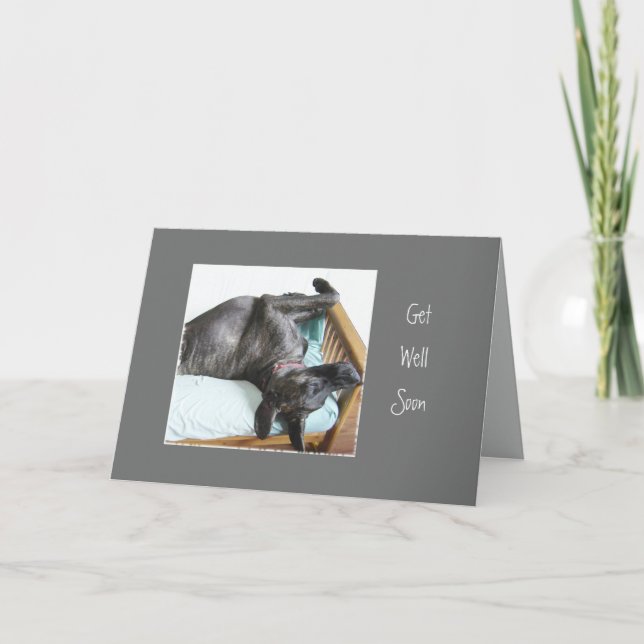 Get Well Soon Fun Great Dane Dog Sleeping Humor Card (Front)