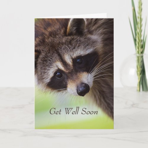 Get Well Soon Funny Cute Raccoon Animal Fun Thank You Card