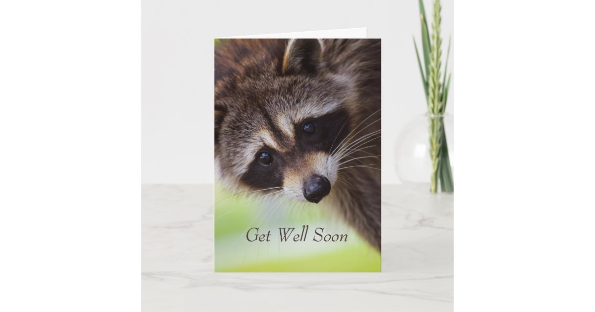 get well soon animals