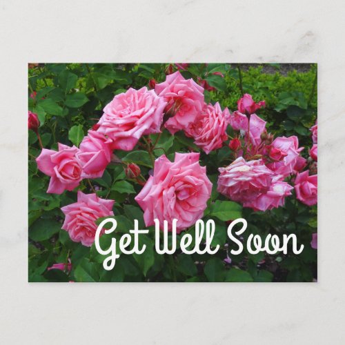 Get Well Soon Gene Boerner Rose 2 Postcard