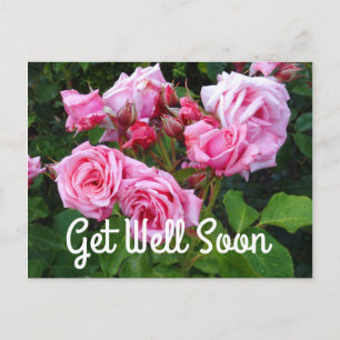 Get Well Soon Gene Boerner Rose #3 Postcard