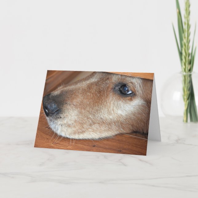 Get Well Soon Golden Retriever Peeking Under Door Card (Front)