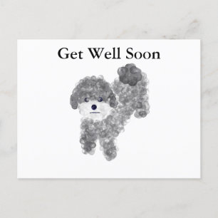 Get Well Soon Gray Poodle #1 Postcard