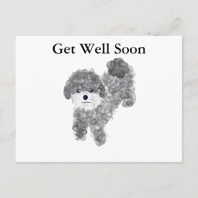 Get Well Soon Gray Poodle #1 Postcard (Front)