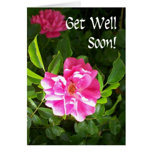 Get Well Soon Greeting Card - Pink Roses | Zazzle