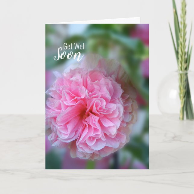 Get Well Soon Hollyhock Photo Card (Front)