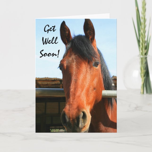 Get Well Soon horse greeting card (Front)